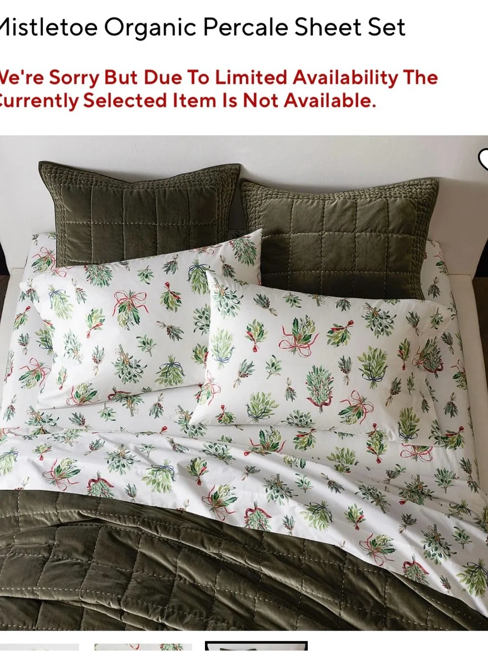 Pottery Barn Mistletoe Organic Sheet Set